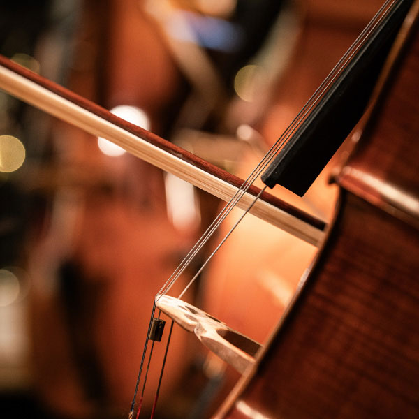 Programas de perfeccionamiento