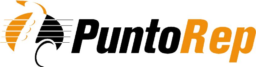 PuntoRep